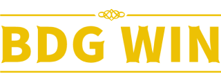 bdgwin-logo